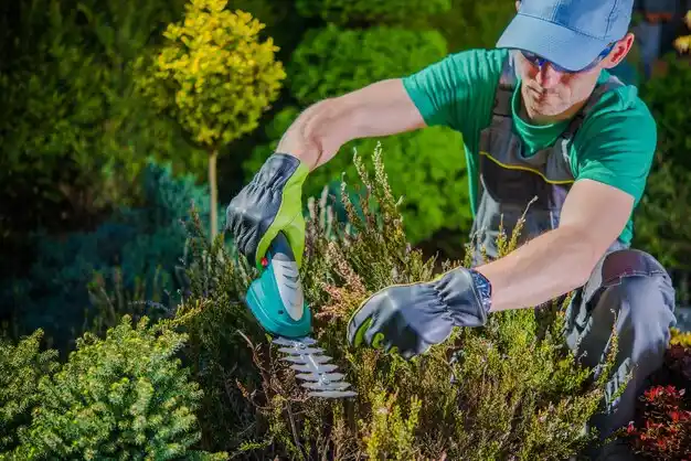 landscaping services Scotia